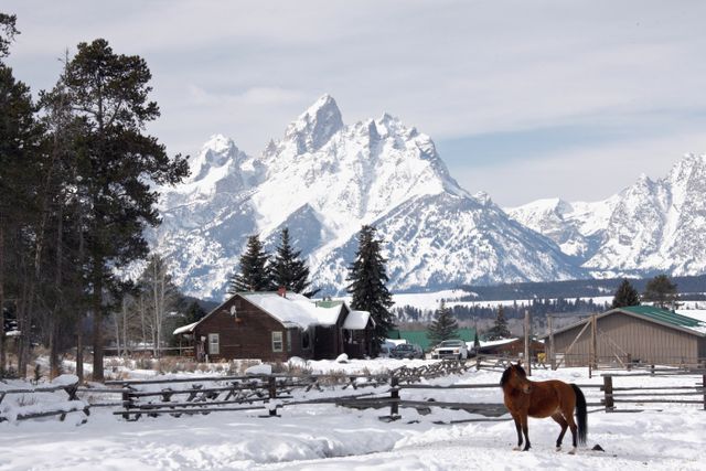 TetonsWinter -- View of the Grand Teton Mountain from MH Range 