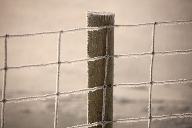 TetonsWinter -- Cold Frost on a fence 