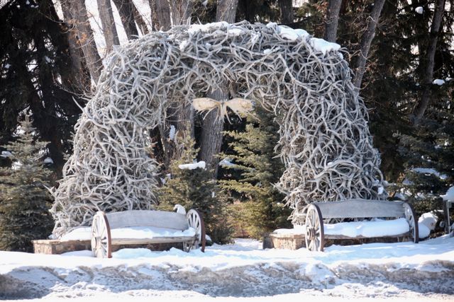 TetonsWinter -- Elk antlers (entrance into Jackson Hole, WY) 