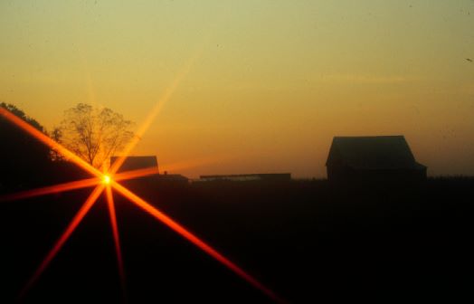 Sunrise at Carman Looper's Farm - Dacusville, South Carolina