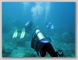 Scuba diving in the VI National Park