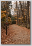 Sabbaday Brook Trail 