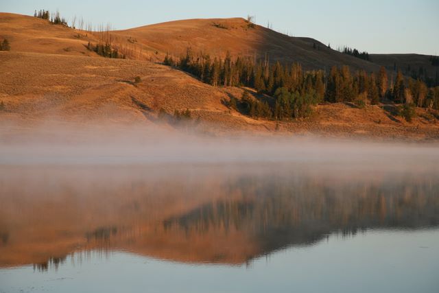 Swan Lake Reflection 