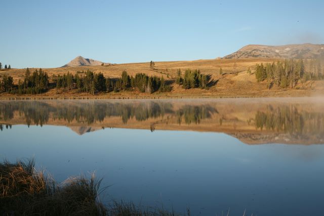 Swan Lake Reflection 