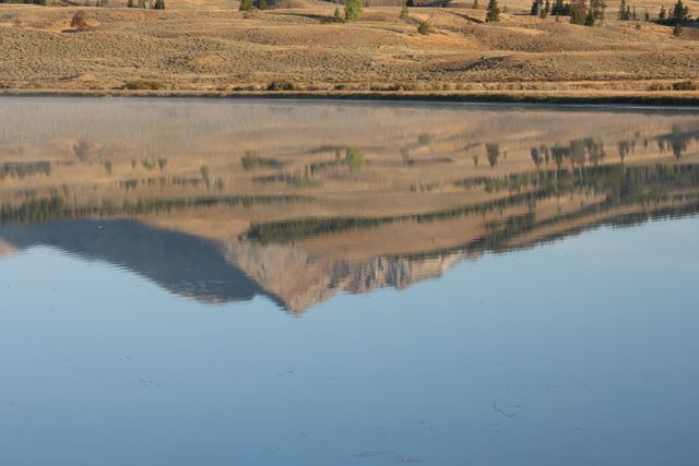 Swan Lake Reflection 