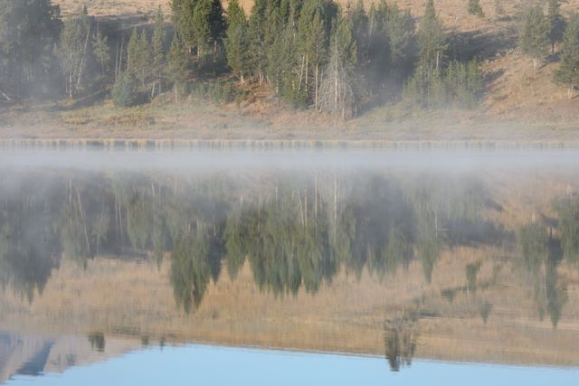 Swan Lake Reflection 