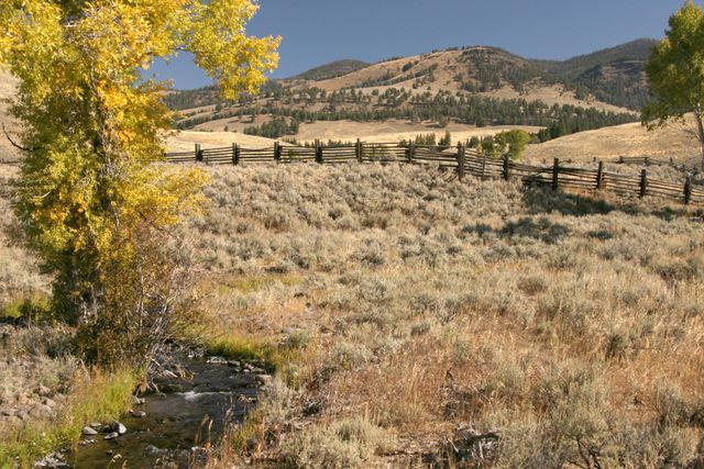 Lamar Valley 