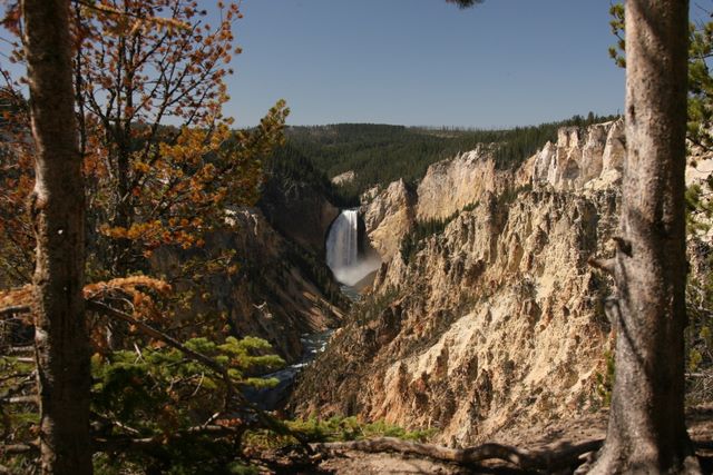 Yellowstone Falls 