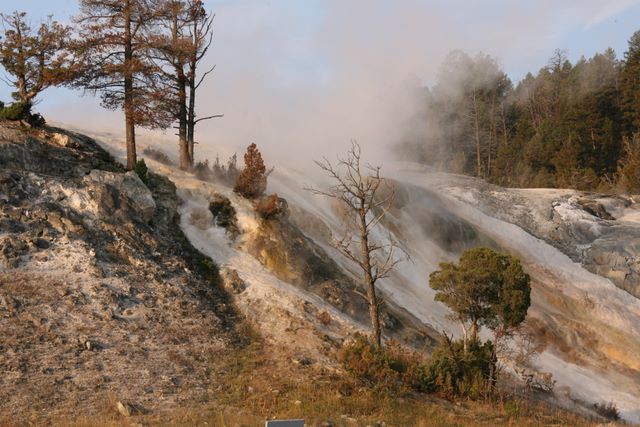 Mammoth Hot Springs