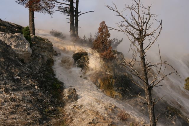 Mammoth Hot Springs