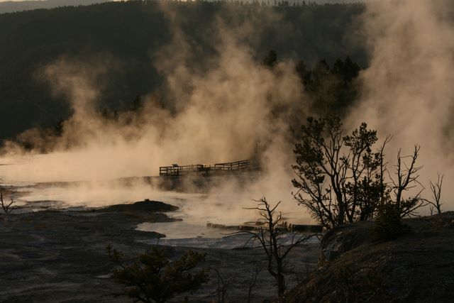 Mammoth Hot Springs 