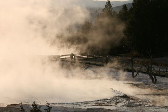 Mammoth Hot Springs  