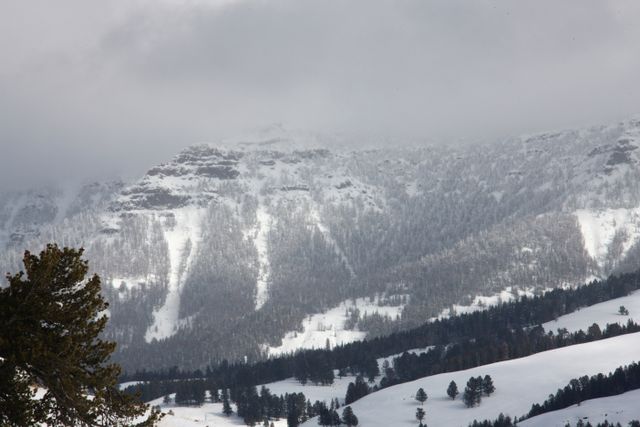 Yellowstone Winter -- Winter Landscape 