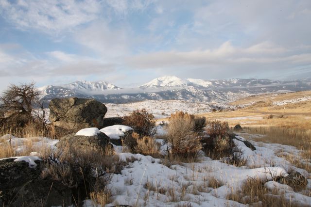 Yellowstone in the early morning 