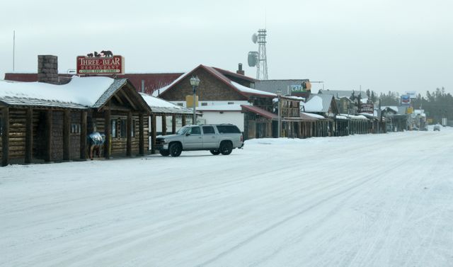 Yellowstone Winter -- West Yellowstone, MT 