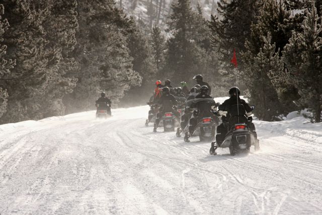 Yellowstone Winter -- Snowmobiling 