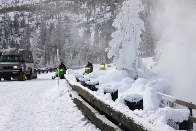 Yellowstone Winter -- Cold Day 