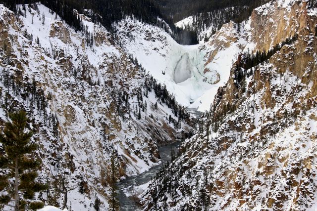 Yellowstone Winter -- Icy Tower Falls 