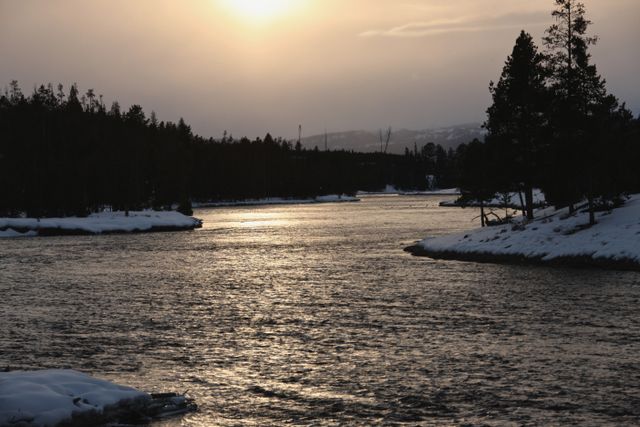 Yellowstone Winter -- Late afternoon 