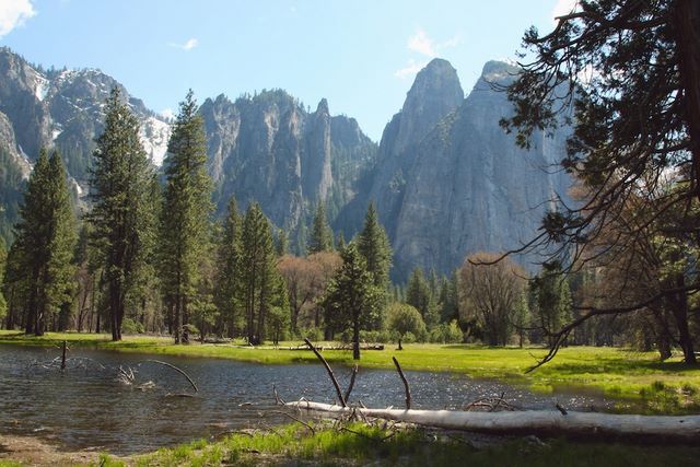 Meadow under Sentinel Rock in Yosemite Valley 