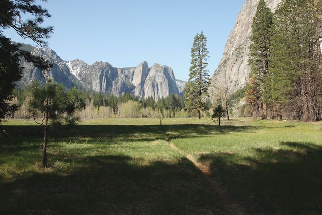 Yosemite Meadow 