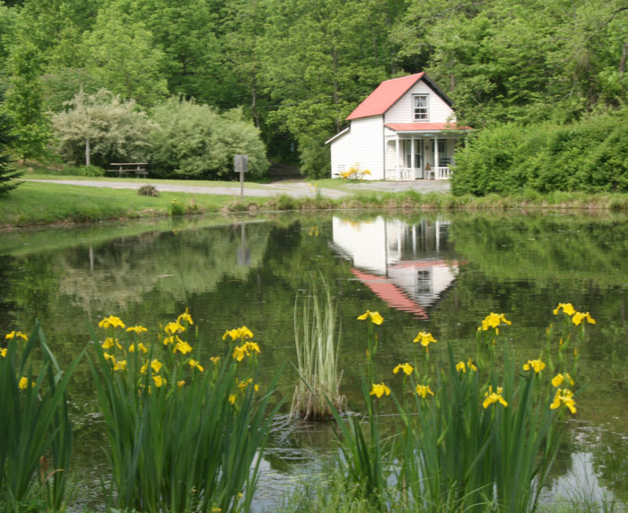 Photo of reflection of a house
