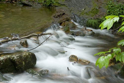 Creek in PA
