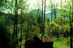 Photo of Barn at Table Rock