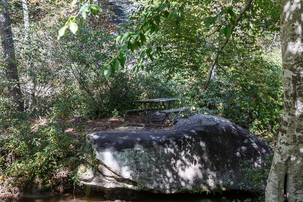 Picnic Area
