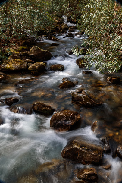 Middle Saluda River