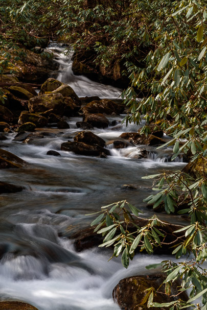 Middle Saluda River