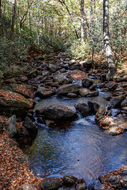 Middle Saluda River