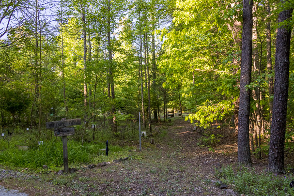 Nature Trail