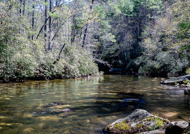Chattooga River