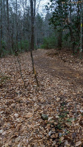 Trail