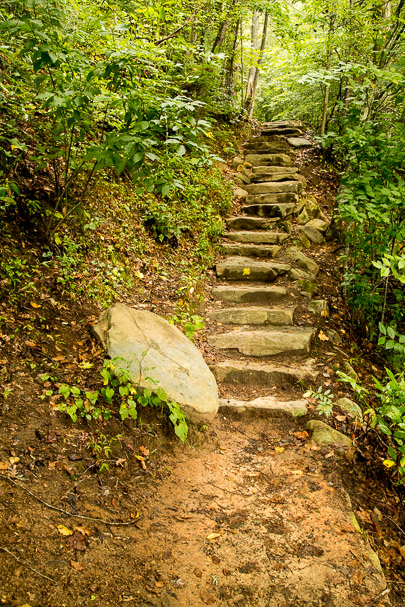 Trail
