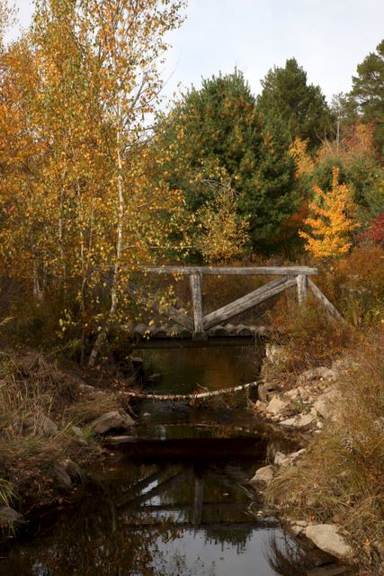 Walking bridge 