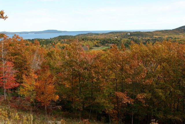Overview from Loop Road
