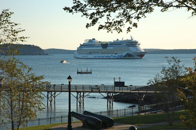 Cruise Boat in Town