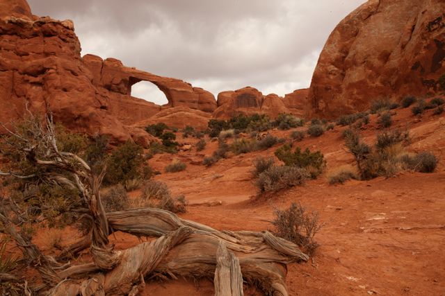 Arches NP -- Skyline Arch
