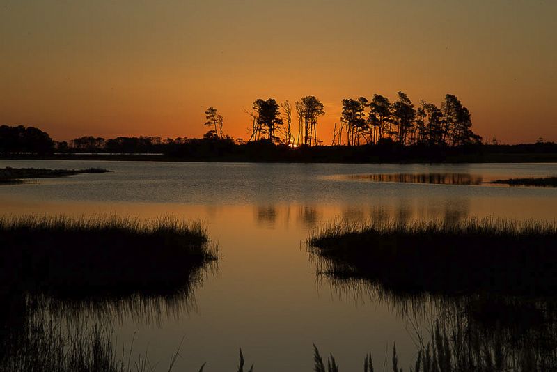 Sunrise in Assateague Island National Seashore 