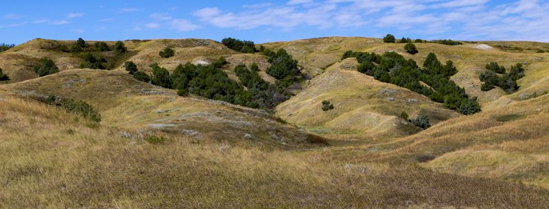 Sage Creek Road 