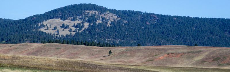 Black Hills National Forest (NF)