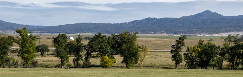 Pastoral scene close to Rapid City, SD 