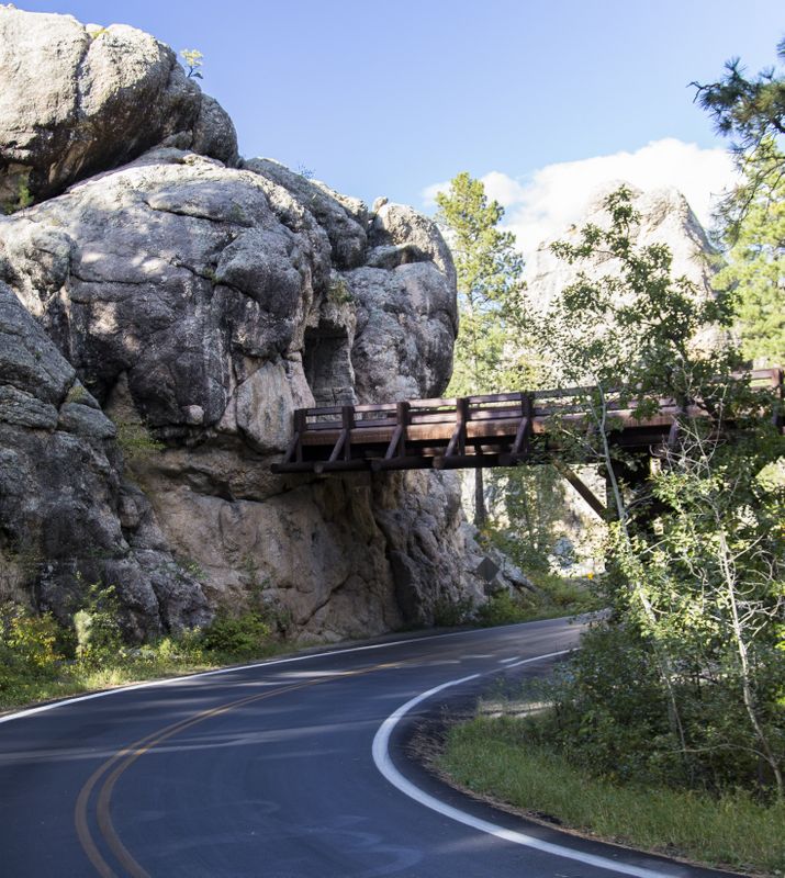 Tunnel Bridge 
