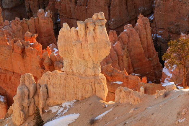 Bryce NP -- The Queen's Garden (up close) 