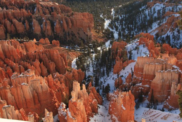 Bryce NP -- Silent City 