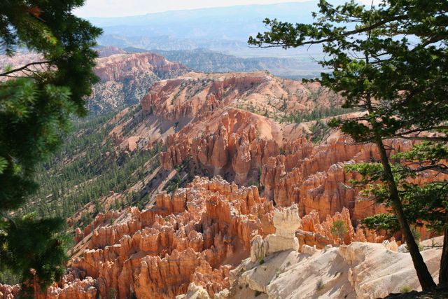 Bryce NP -- The Queen's Garden 