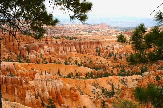 Bryce NP -- Sunset Point 