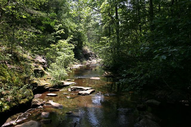 Creek 